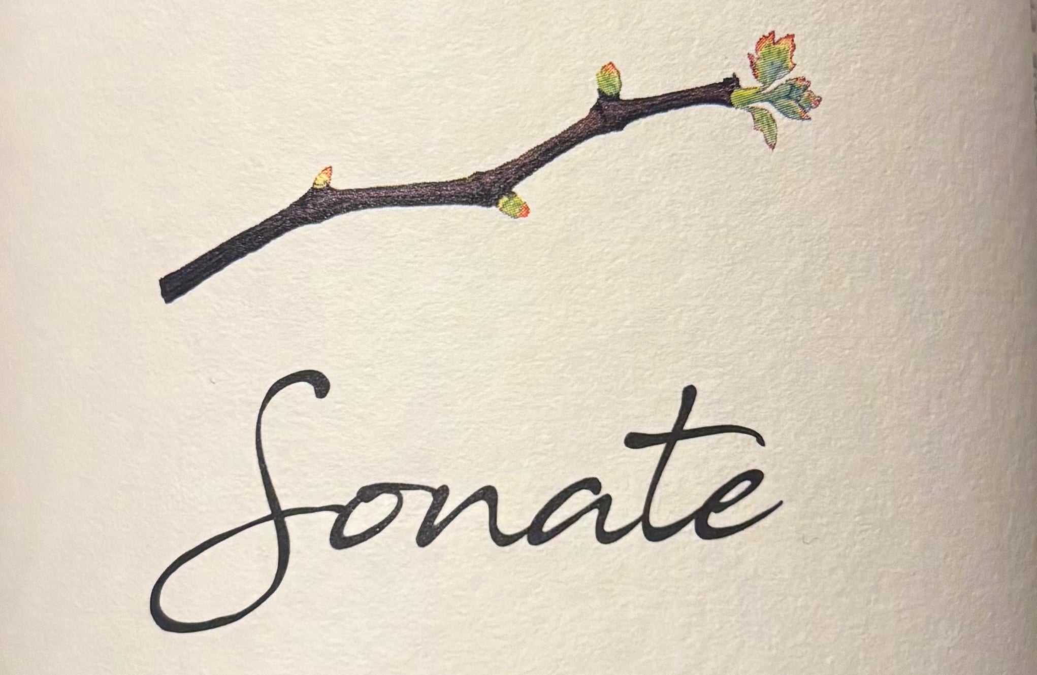 Sonate 2023